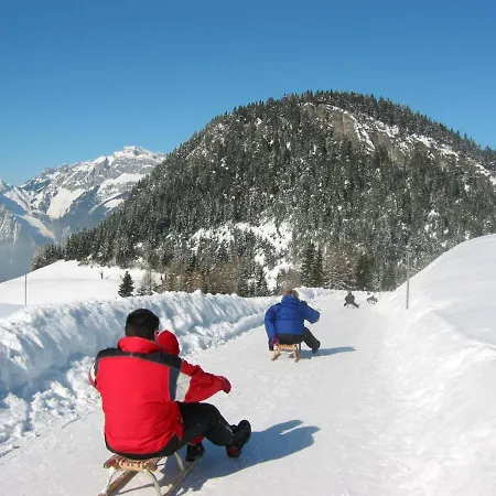 Inn-studio Ursula Appartement *