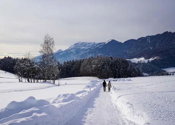 Inn-studio Ursula 布里克斯莱格